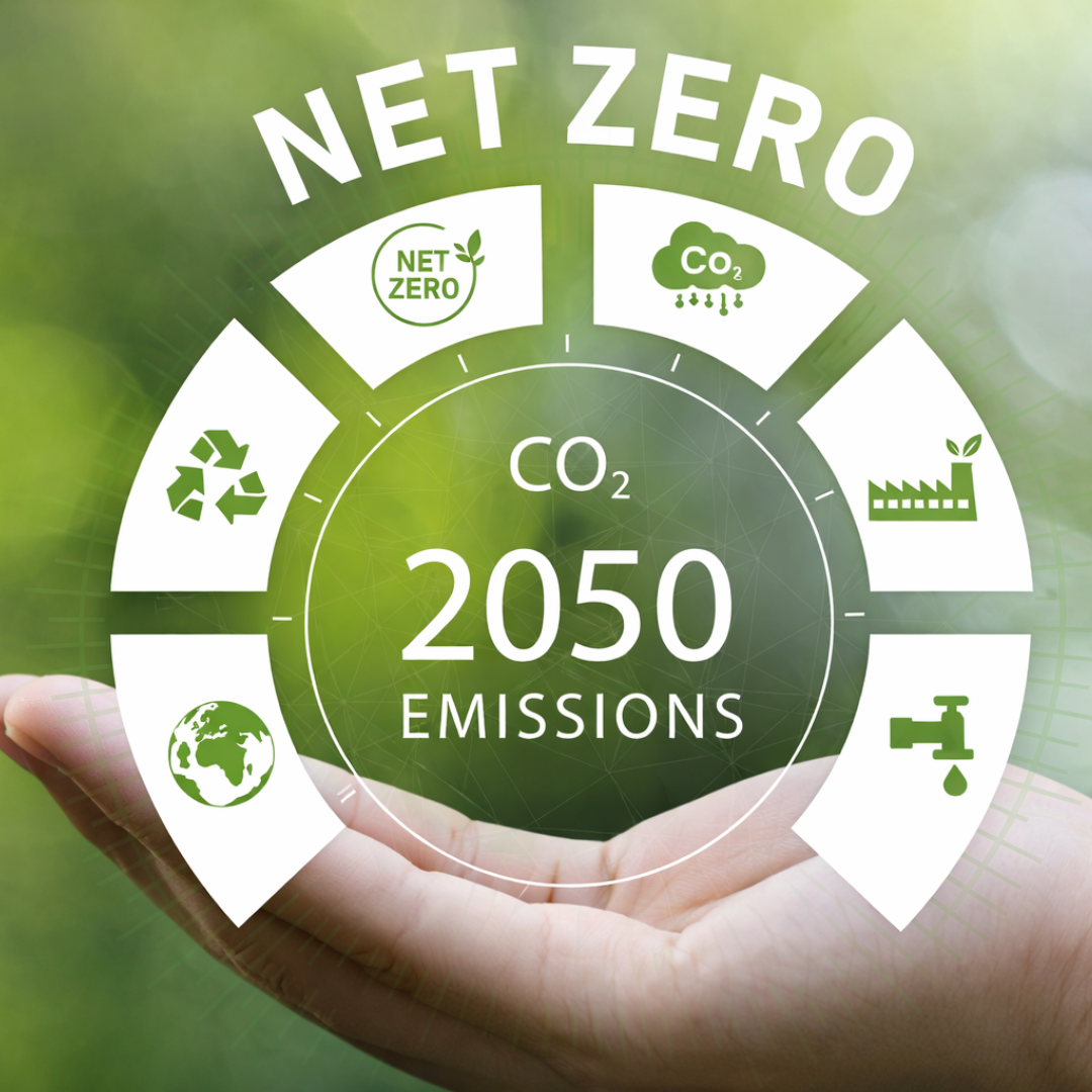 Sáng kiến Net Zero