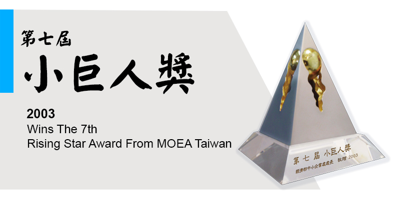 Rising Star Award